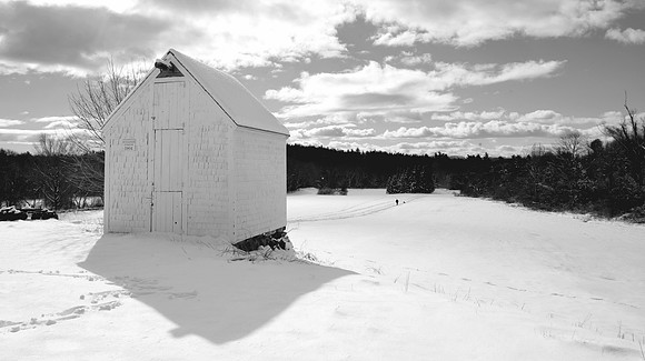 Steele Farm Boxboro, MA