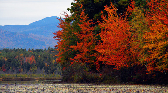 Autumn in New Hampshire