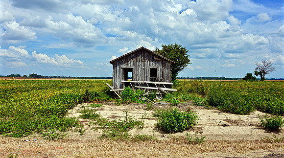 Nitta Yuma, Mississippi
